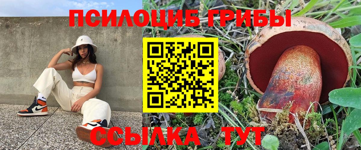 Галлюциногенные грибы Magic Shrooms Великие Луки