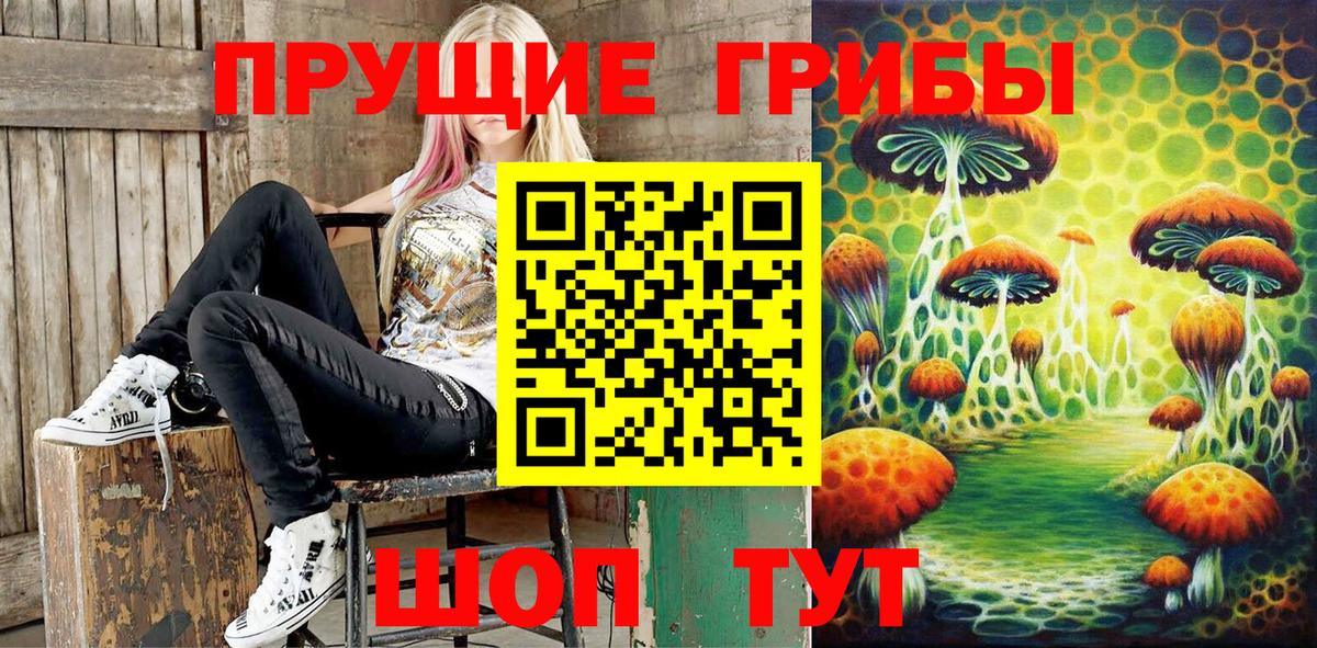 Великие Луки  Галлюциногенные грибы ЛСД  Вход с VPN 